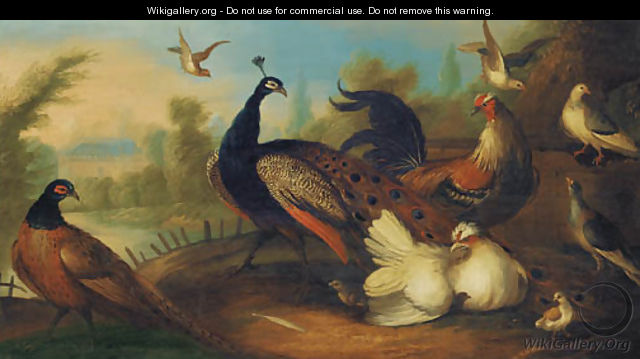 A peacock and other birds in an ornamental garden - (after) Marmaduke Cradock