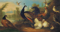 A peacock and other birds in an ornamental garden - (after) Marmaduke Cradock