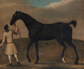 A racehorse held by a groom - (after) James Seymour
