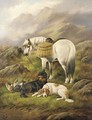 Setters and a pony with the day's bag - (after) John Gifford