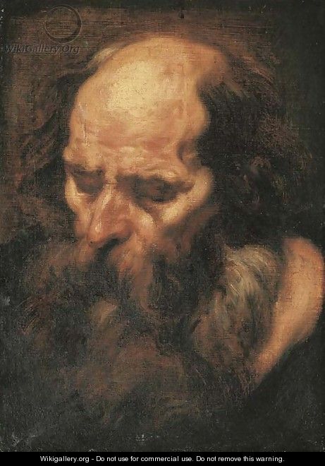 The head of a bearded man - (after) Jacob Jordaens