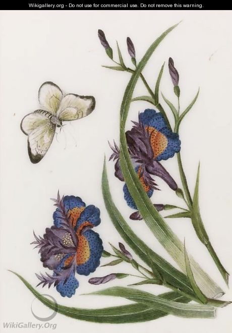 Three exotic flower and butterfly studies - Chinese School
