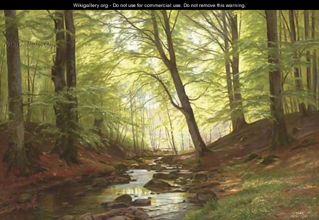 A Stream in a Forest - Christian Zacho