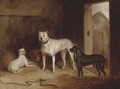 A bulldog and bullterriers in an outhouse - (after) Cooper, Abraham