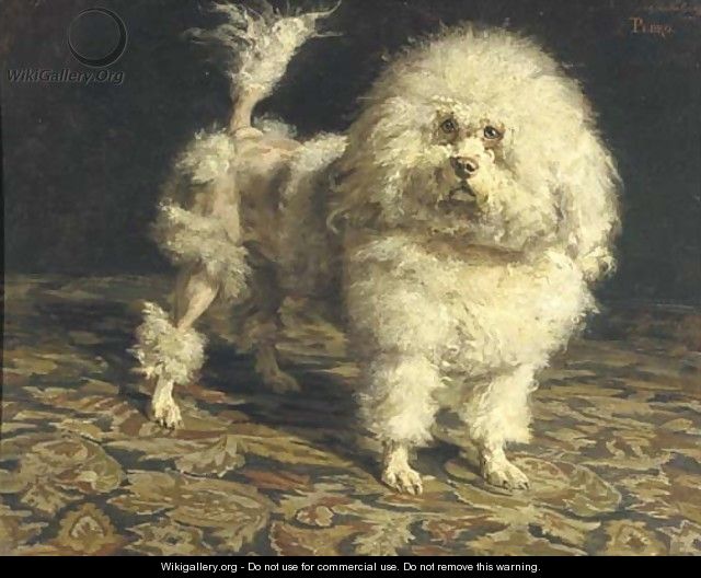 Pedro portrait of a poodle - Charles van den Eycken
