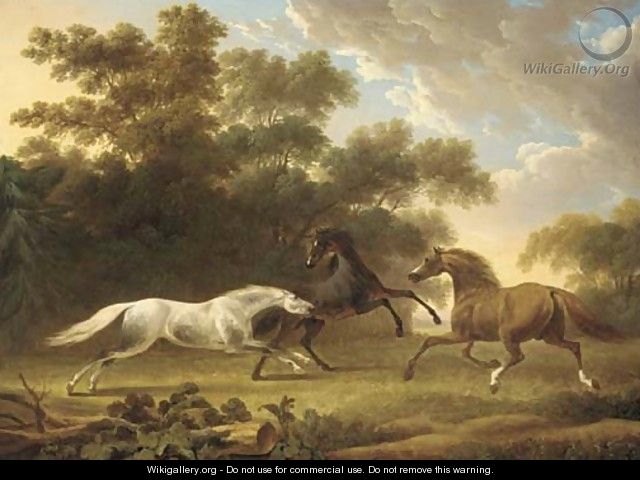 Stallions in a wooded paddock - Charles Towne