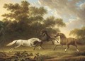 Stallions in a wooded paddock - Charles Towne