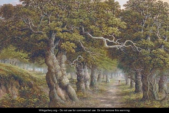 The forest track - Charles Leaver