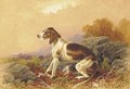 A seated hound in a landscape - Charles Edward Snr Brittan