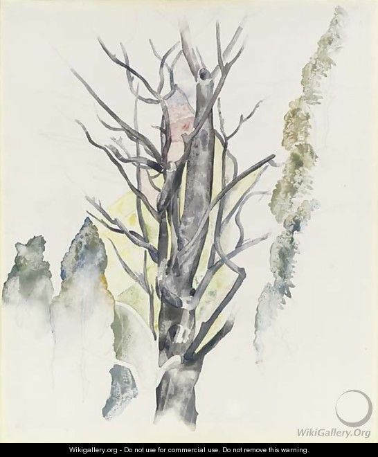 Trees - Charles Demuth