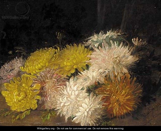 Chrysanthemums - Charles Gregory