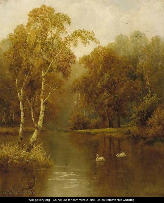 Swans in a wooded river landscape - Charles L. Shaw