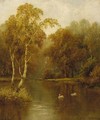 Swans in a wooded river landscape - Charles L. Shaw