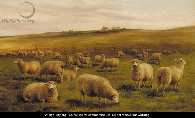 Sheep grazing with a cottage beyond - Charles Jones