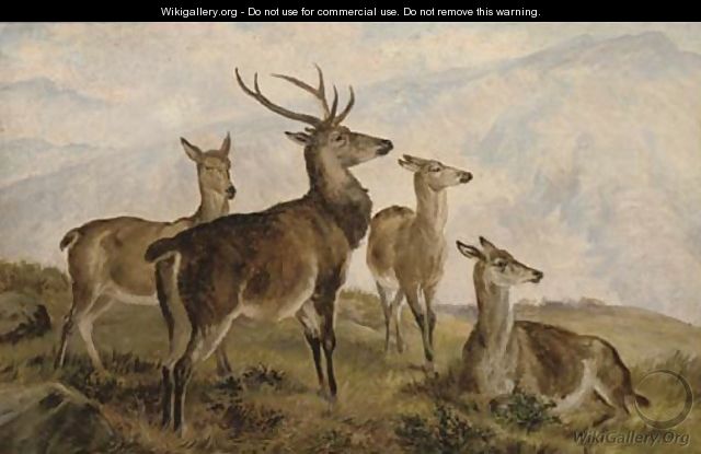 Deer in the highlands - Charles Jones