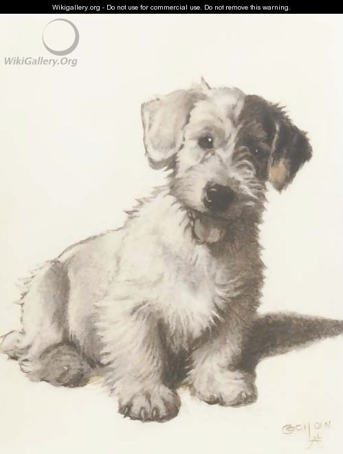 A sealyham terrier - Cecil Charles Aldin