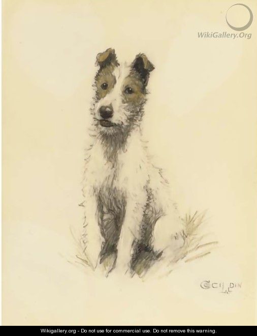 A wire haired fox terrier - Cecil Charles Aldin