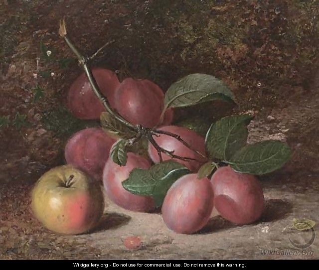 Plums and an apple, on a mossy bank - Charles Archer