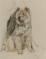 Study of a chow chow - Cecil Charles Aldin