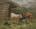 Highland Calves, Jay Valley, Perthshire - Cari E. Watson