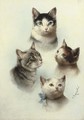 Cute cats - Carl Reichert