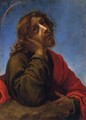 Saint John the Evangelist - Carlo Dolci Florence