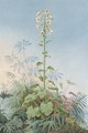 A Giant Lily (Cardocrinum giganteum) - Carl W.E. Fink