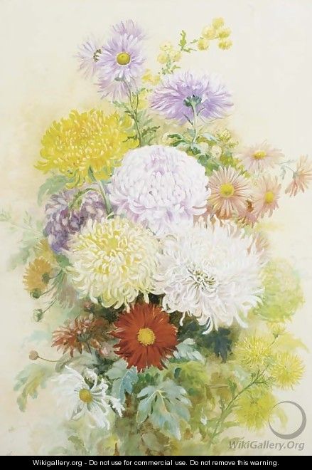 A vase of crysanthemuns and asters - C. Wilson