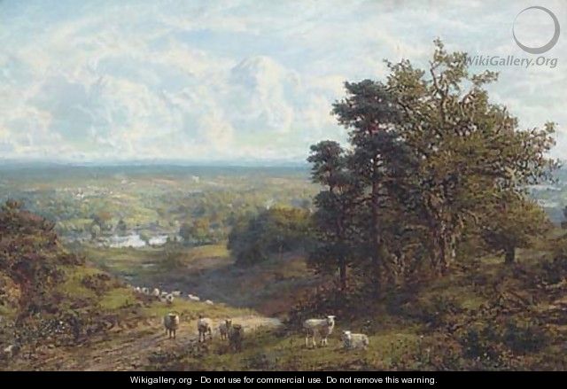 Sheep on a hillside overlooking an extensive landscape - C. W. Mole