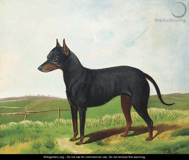 A Manchester terrier in a landscape - C. Smith