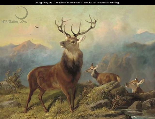 A stag and hinds in a landscape - Byron Webb