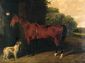 A Saddled bay Hunter, with dogs outside a stable - Byron Webb