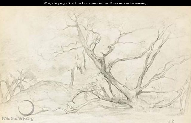 Les arbres - Camille Pissarro