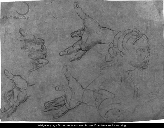 Two studies of hands and feet - Bernardo Strozzi