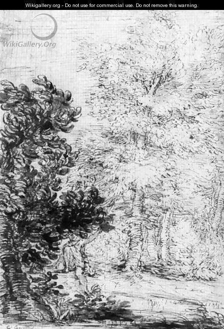 A wooded landscape with a fisherman - Bolognese School