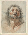 The head of a man looking up to the right - Bolognese School