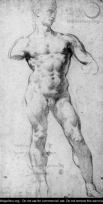 A nude in the pose of Michelangelo