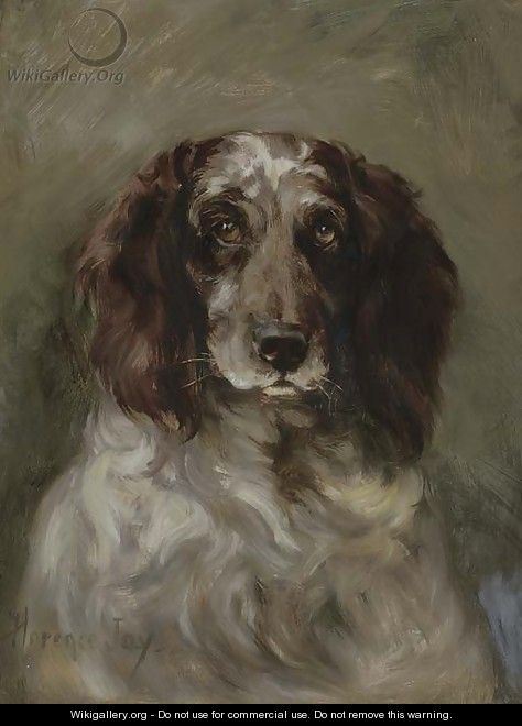 Portrait of a spaniel - Florence Jay