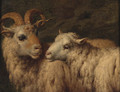 A Ram and a Ewe - (after) Adriaen Van De Velde