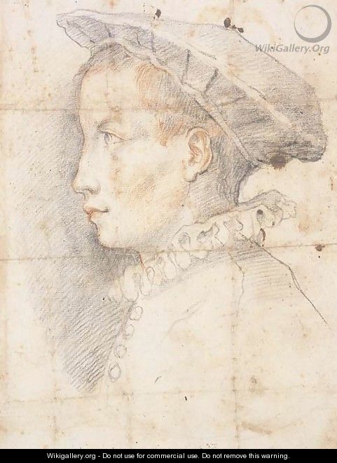 Portrait of a young boy wearing a hat, bust-length, in profile to the left - Federico Zuccaro