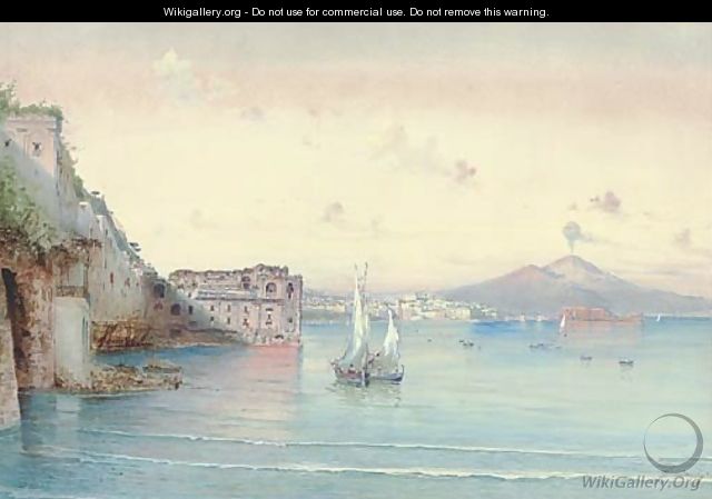 Vessels before Vesuvius, the Bay of Naples - Federico Schianchi
