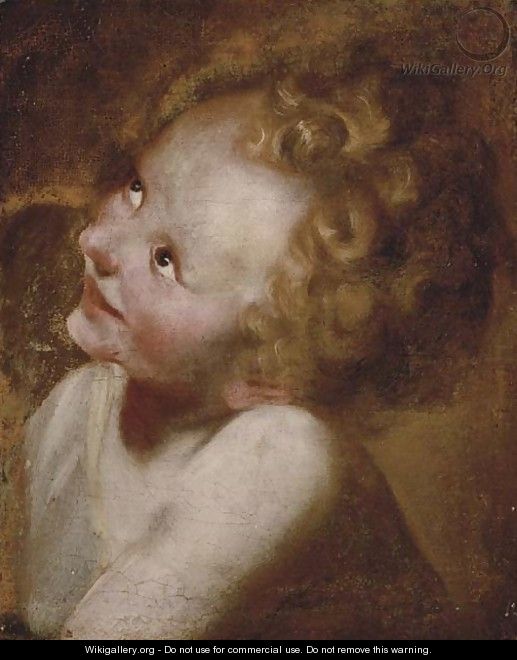 Study of the Head of the Christ Child - Federico Fiori Barocci