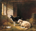 A Ewe, a Goat, a Rabbit and a Duck in a Barn - Eugène Verboeckhoven
