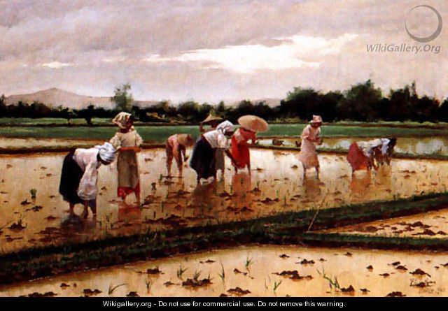 Women working in a rice field - Fabian De La Rosa