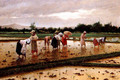 Women working in a rice field - Fabian De La Rosa