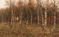 A hunter in a birch forest - Evert Pieters