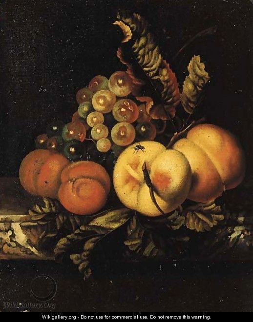 Peaches, apricots and grapes on a marble ledge - Ernst Stuven