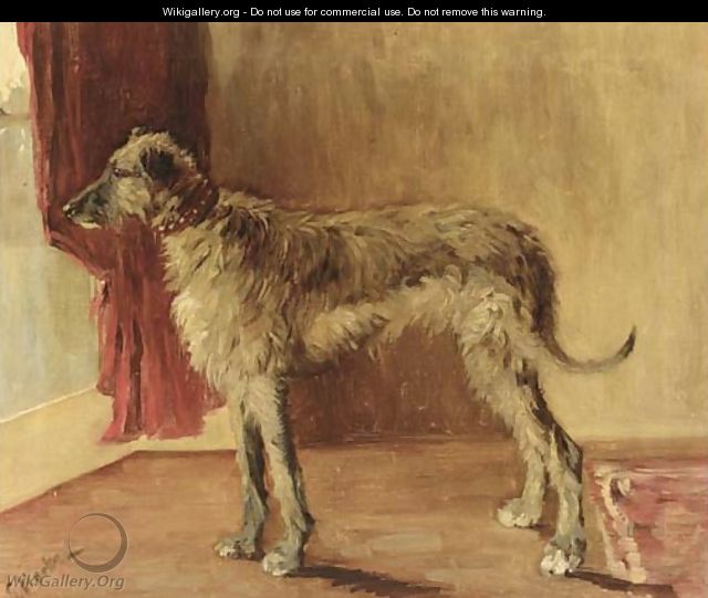 An Irish wolf hound - Etty Horton