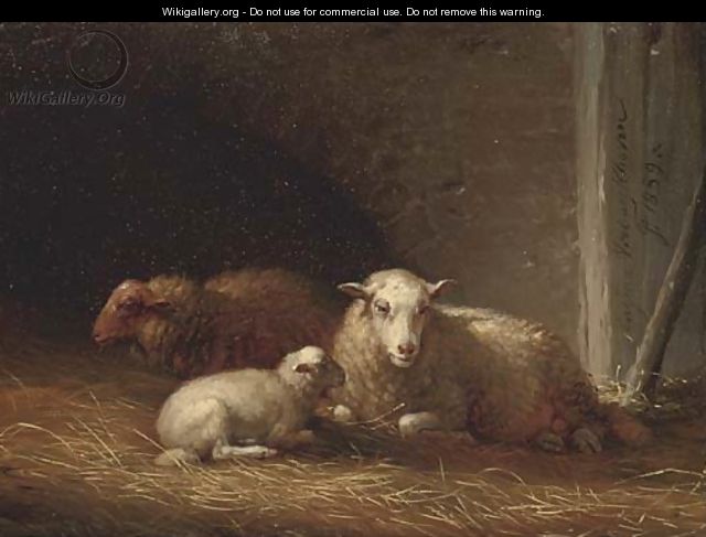 Sheep in a barn - Eugène Verboeckhoven
