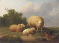 Sheep in a meadow 2 - Eugène Verboeckhoven